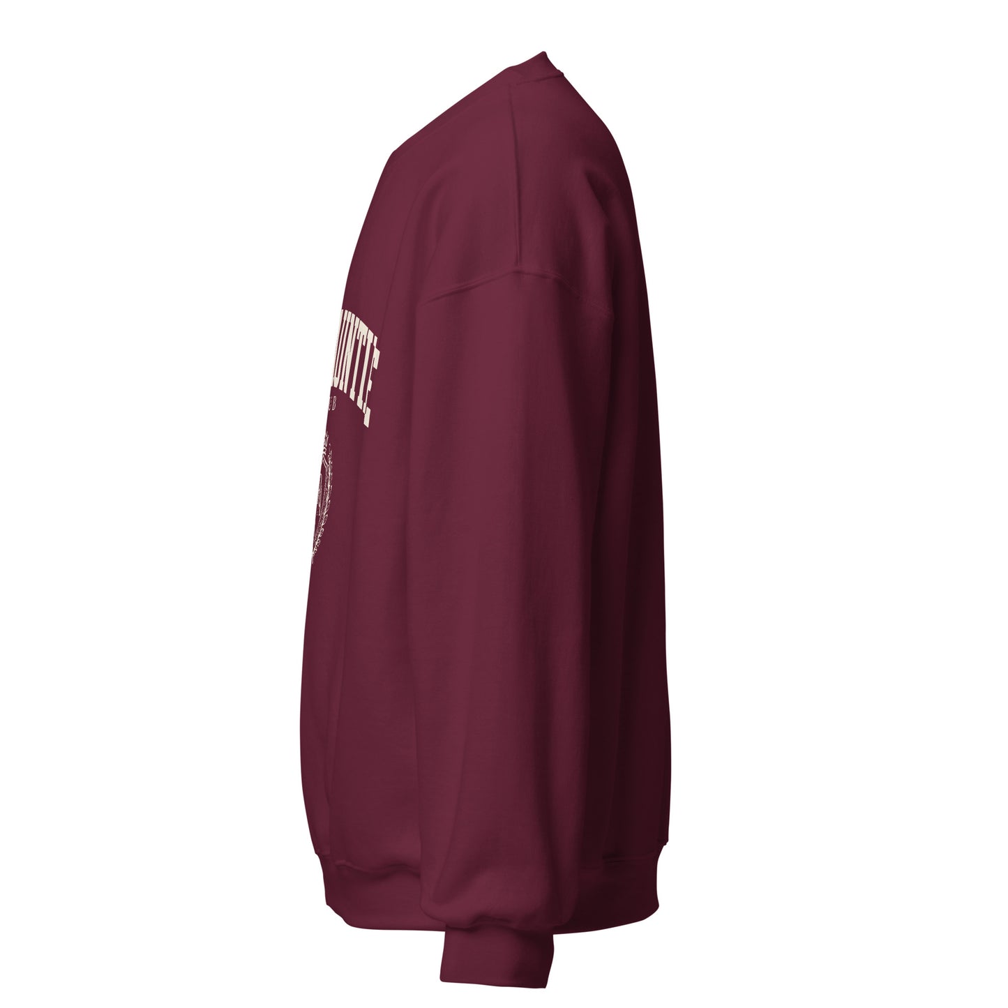 Rich Auntie Club collegiate crewneck product view 5