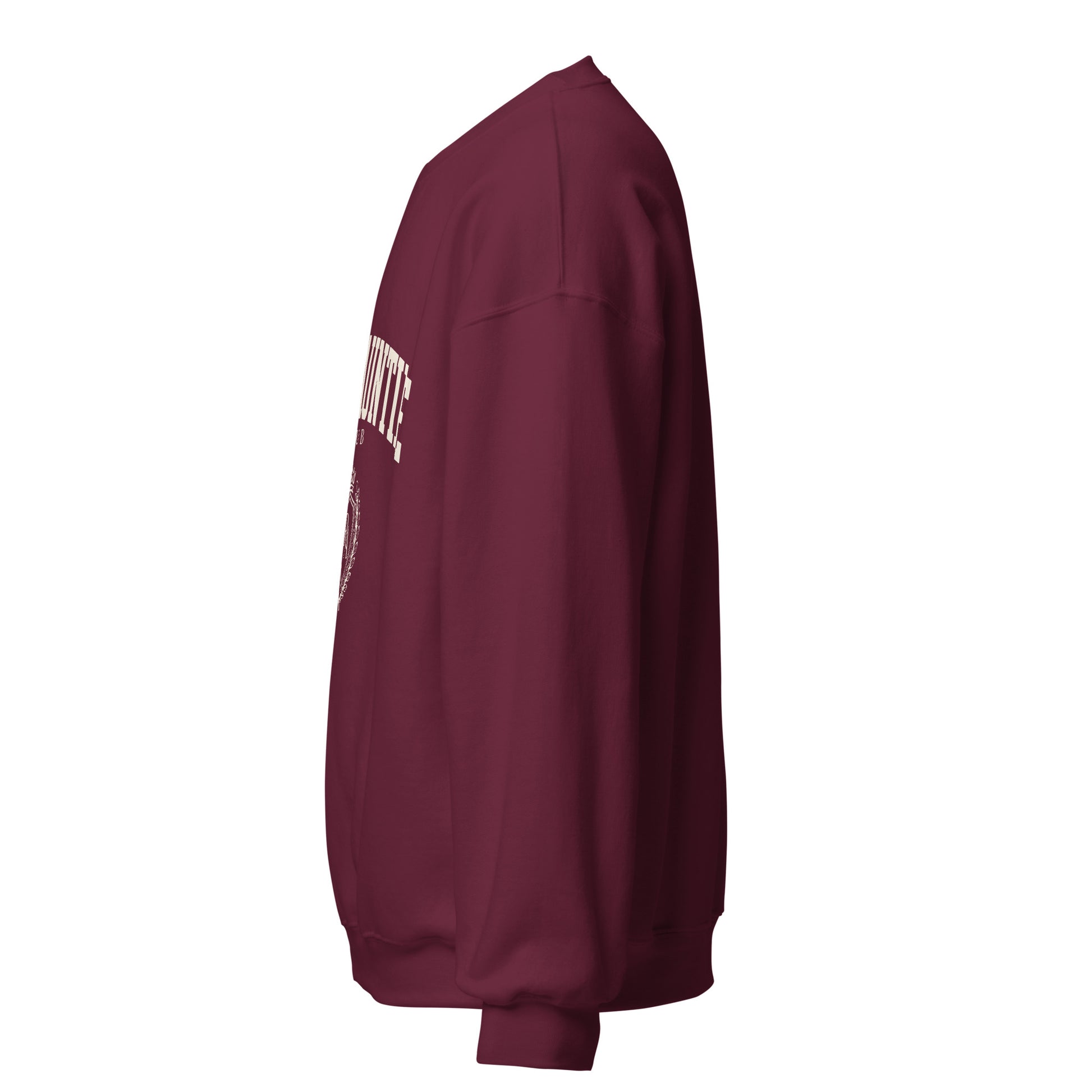Rich Auntie Club collegiate crewneck product view 5