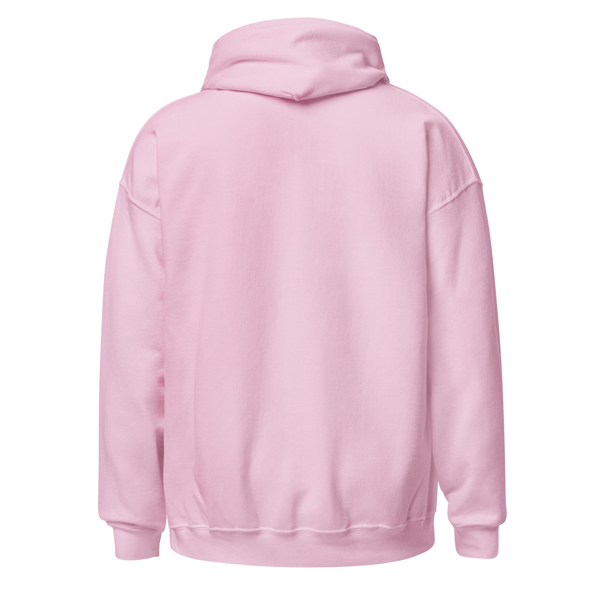 Rich Auntie Club collegiate hoodie product view 18