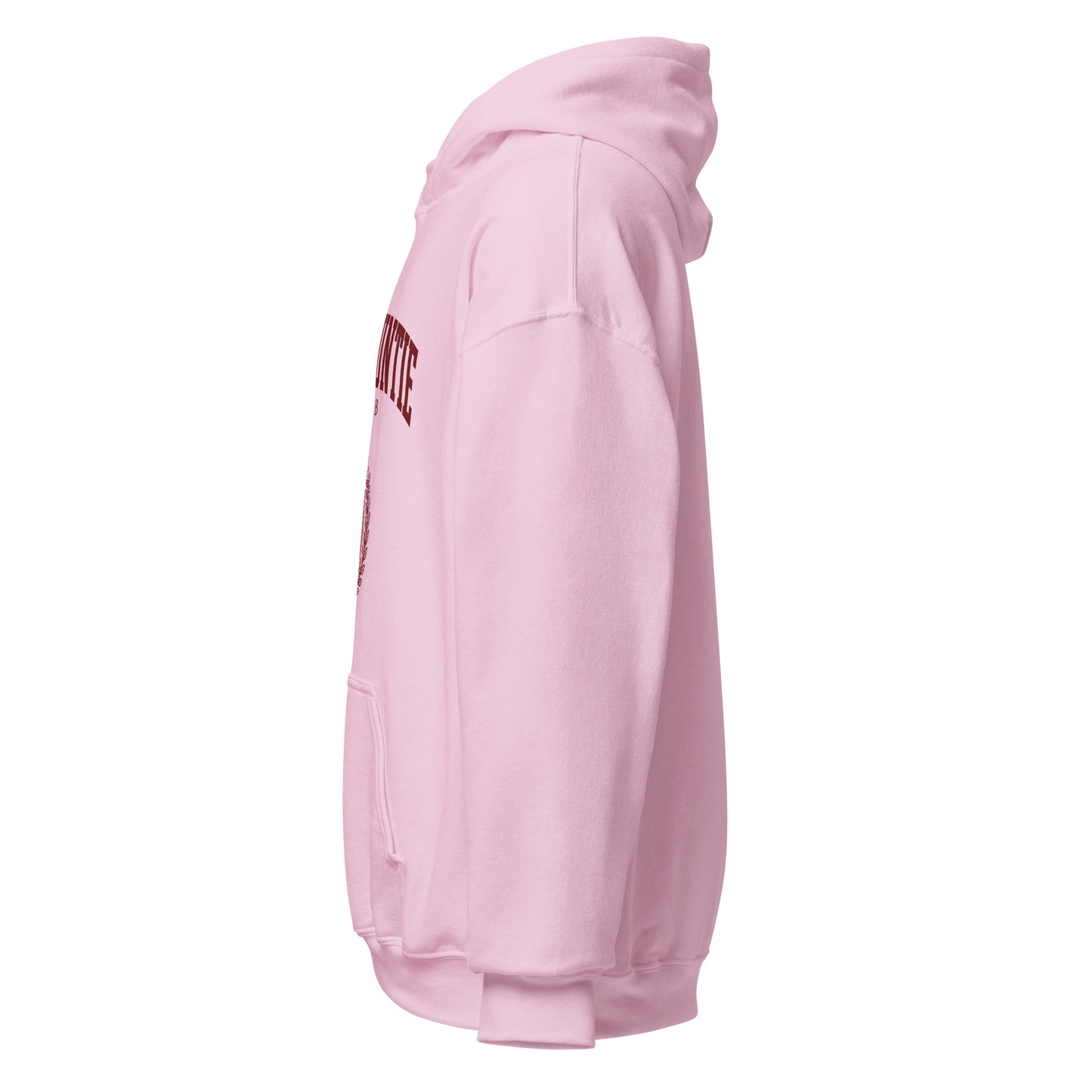 Rich Auntie Club collegiate hoodie product view 21