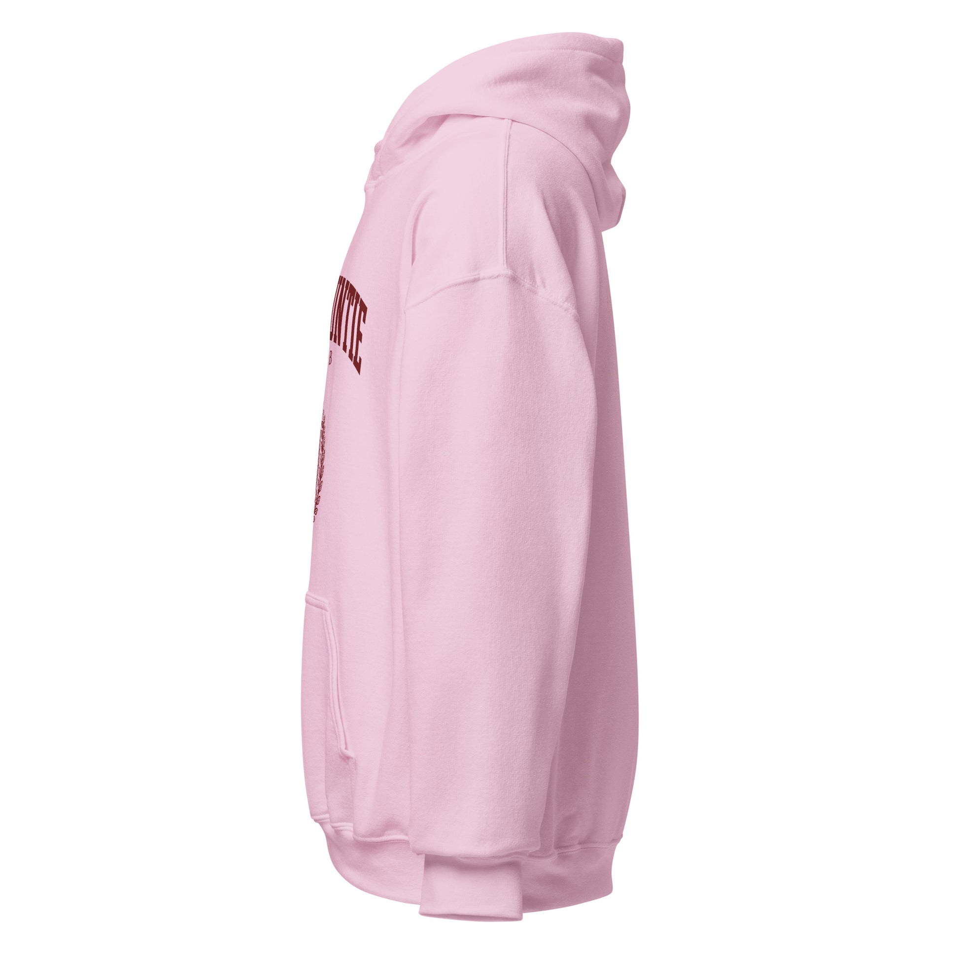 Rich Auntie Club collegiate hoodie product view 21