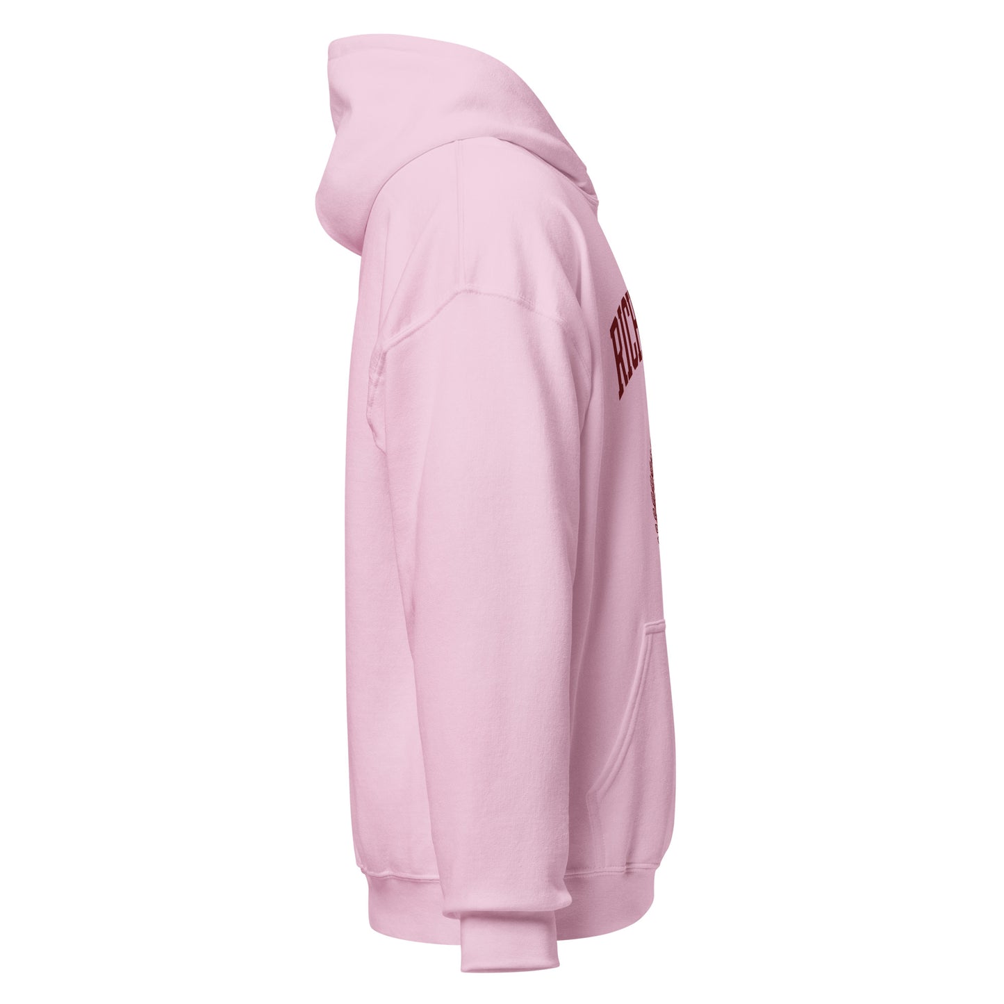 Rich Auntie Club collegiate hoodie product view 24