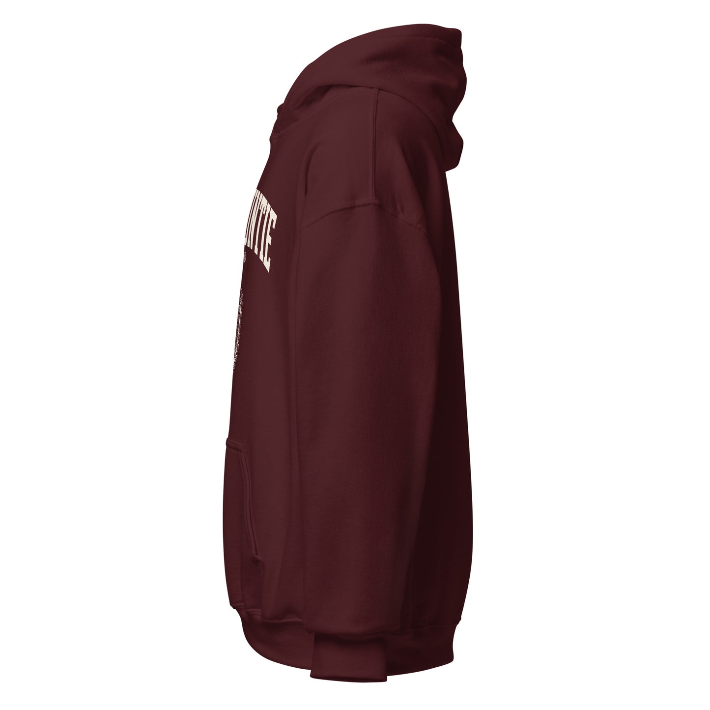 Rich Auntie Club collegiate hoodie product view 4