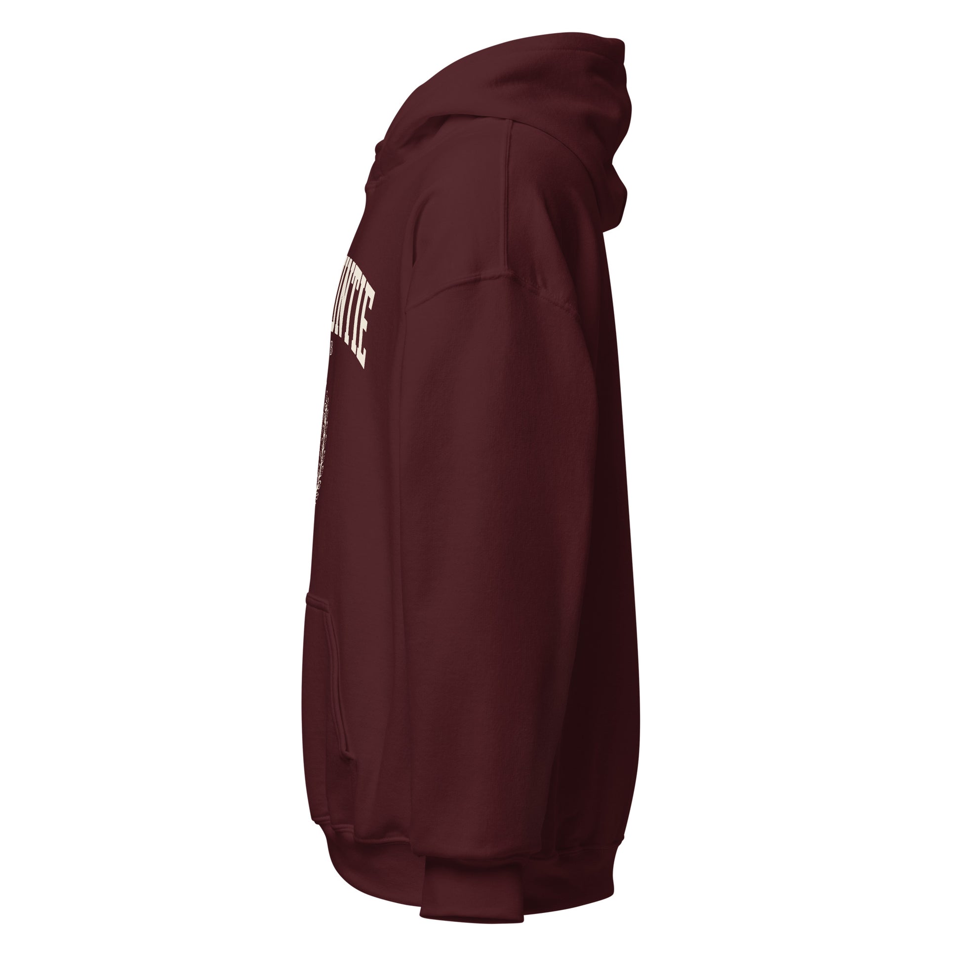 Rich Auntie Club collegiate hoodie product view 4