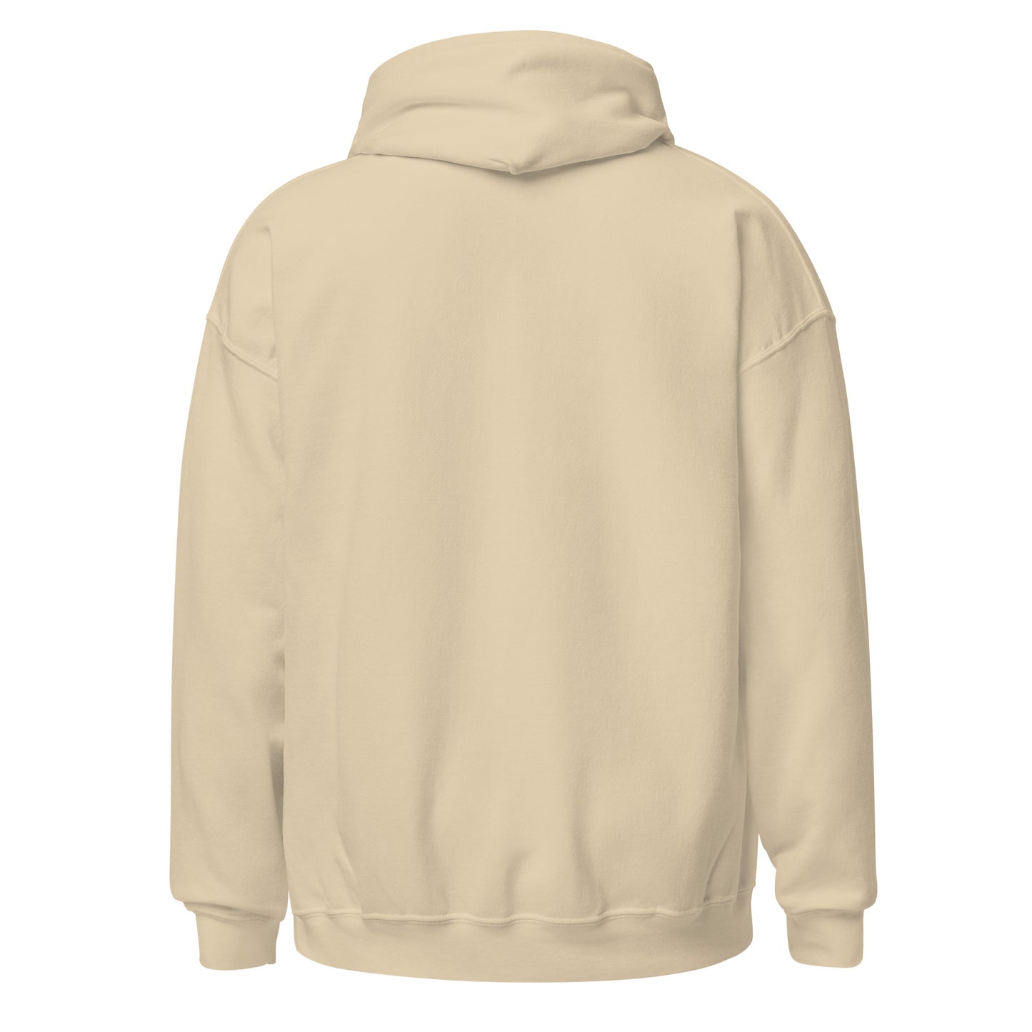 Rich Auntie Club collegiate hoodie product view 17