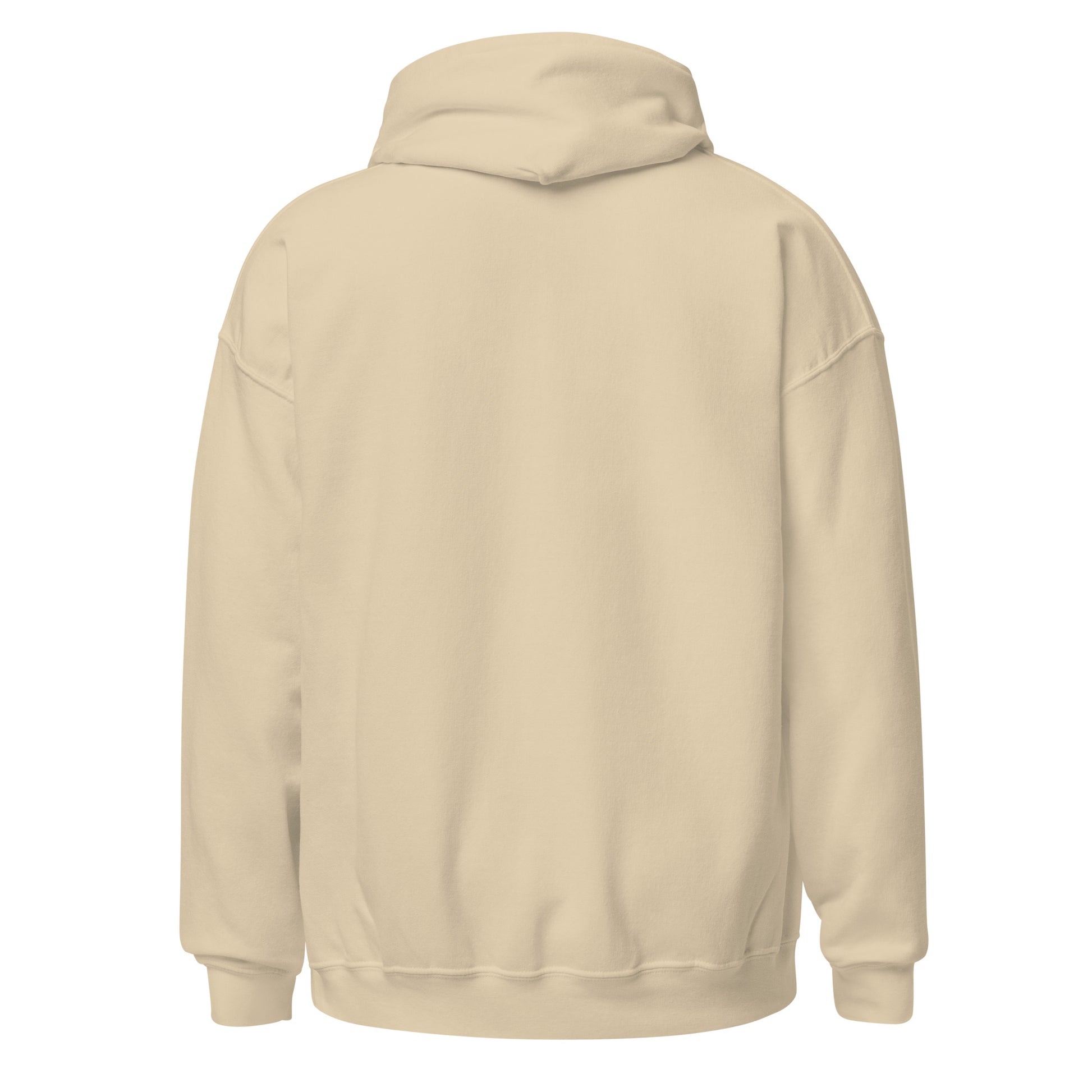Rich Auntie Club collegiate hoodie product view 17