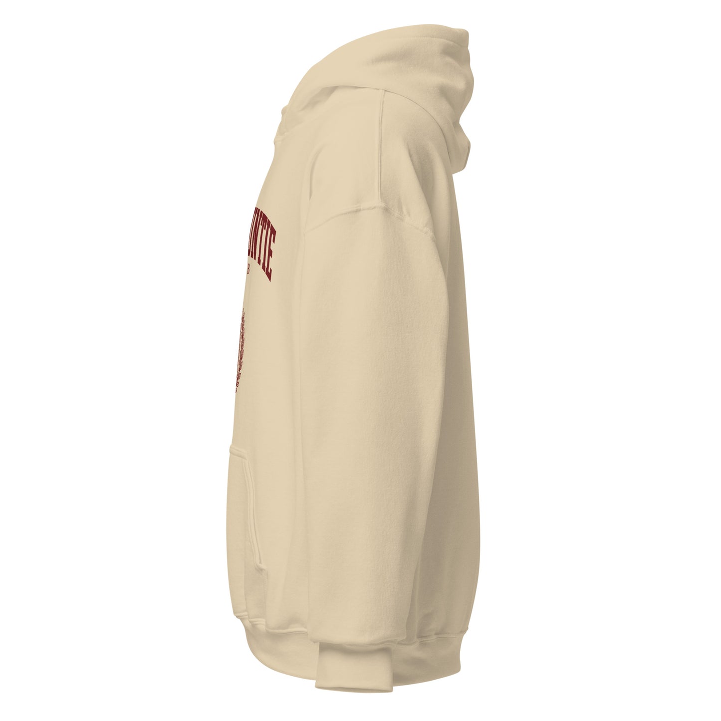 Rich Auntie Club collegiate hoodie product view 20