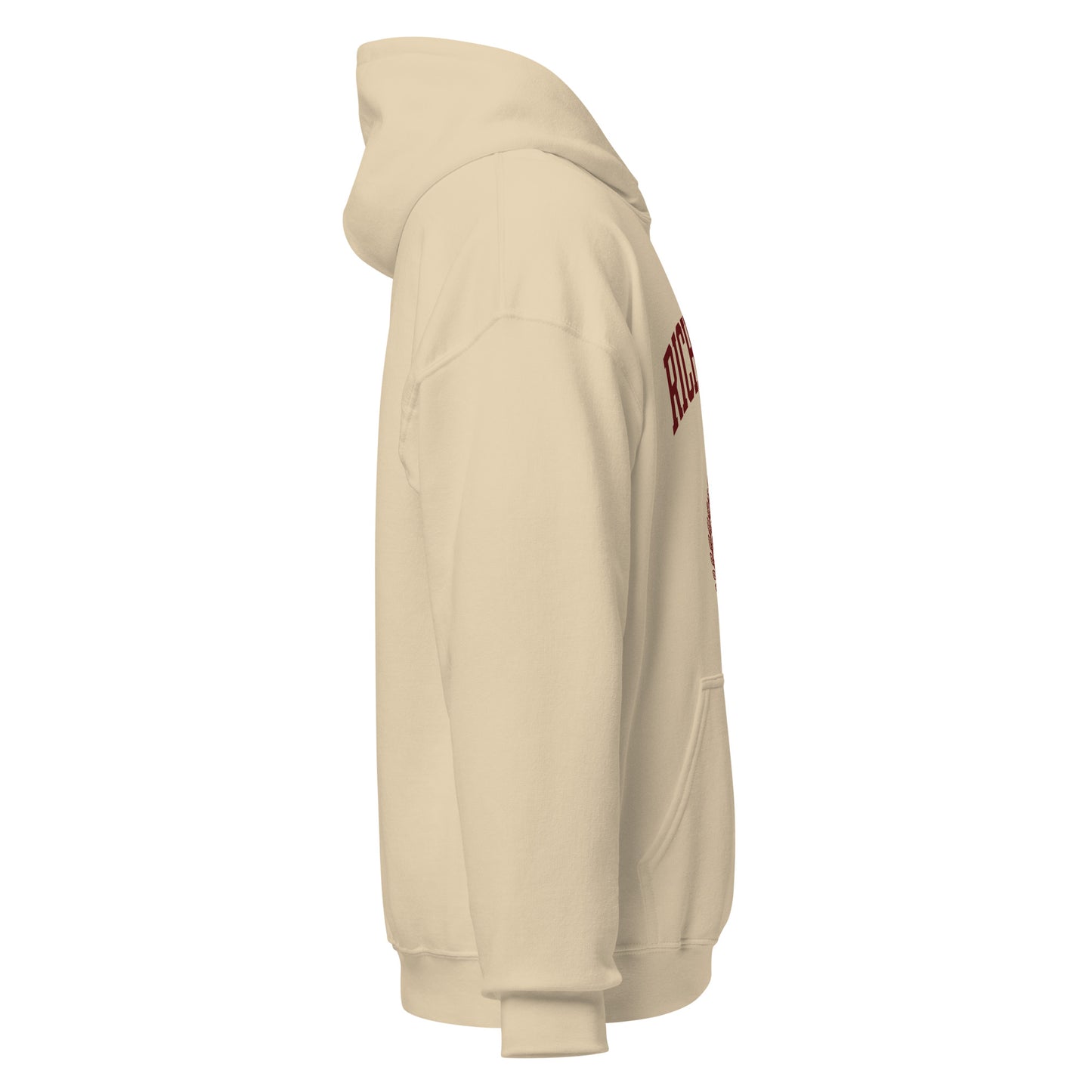 Rich Auntie Club collegiate hoodie product view 23