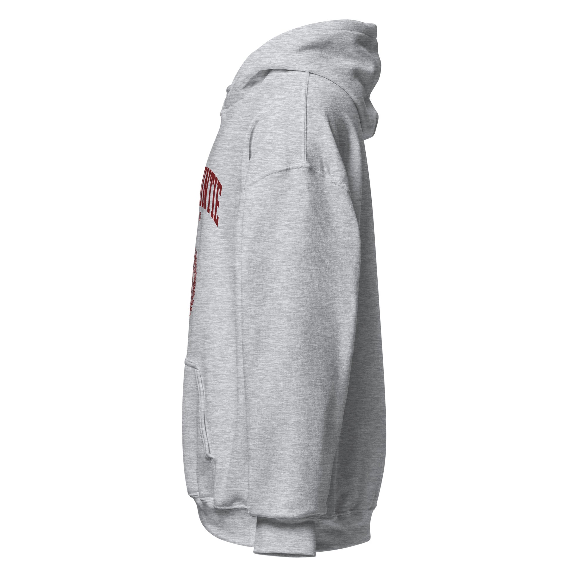 Rich Auntie Club collegiate hoodie product view 19